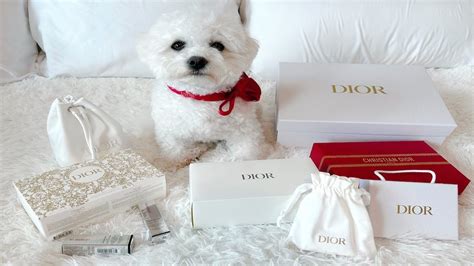 dior silver status gift